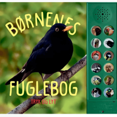 Fuglebog med lydknapper og billeder, designet til børn med synshandicap.