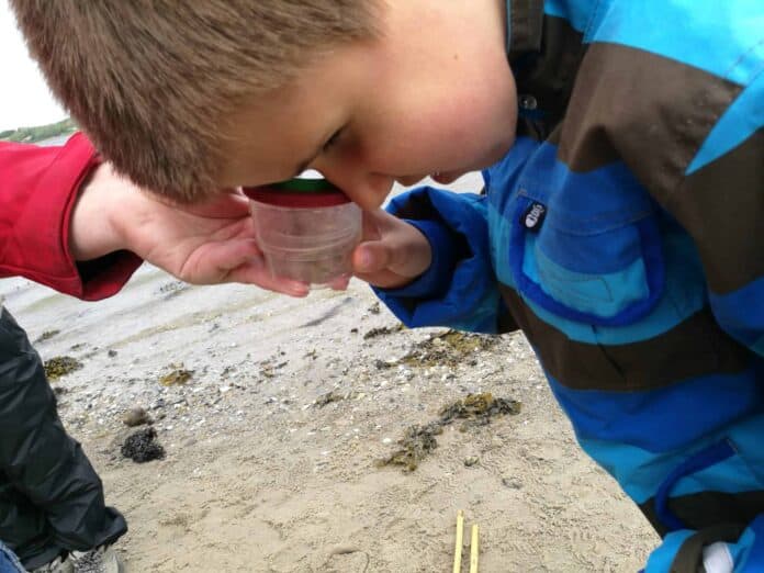 dreng på stranden med hovedet helt nede i et forstørrelsesglas