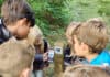 Børn kigger på et skilt, der guider til stisystemer i naturen