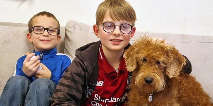 10årige Johannes sidde sammen med sin bror og deres hund